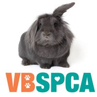 Virginia Beach SPCA